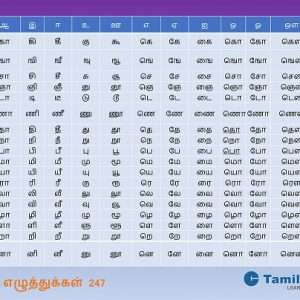 tamil alphabet chart tamilcube shop
